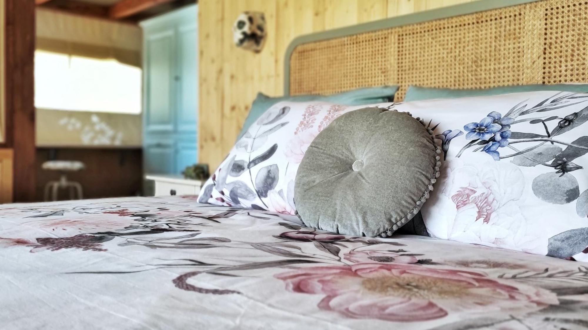 I Sicomori - Seme Di Carota - Glamping E Appartamenti Con Piscina A Saturnia Dış mekan fotoğraf