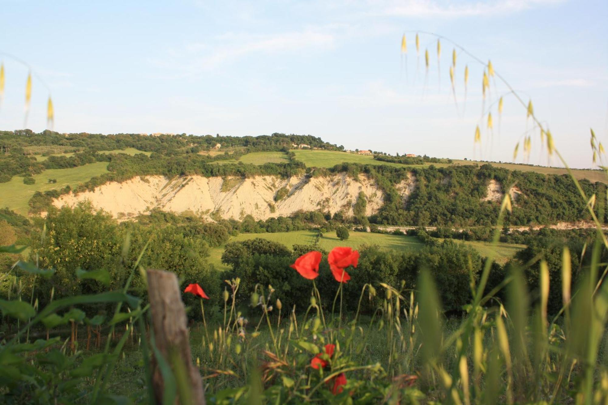 I Sicomori - Seme Di Carota - Glamping E Appartamenti Con Piscina A Saturnia Dış mekan fotoğraf