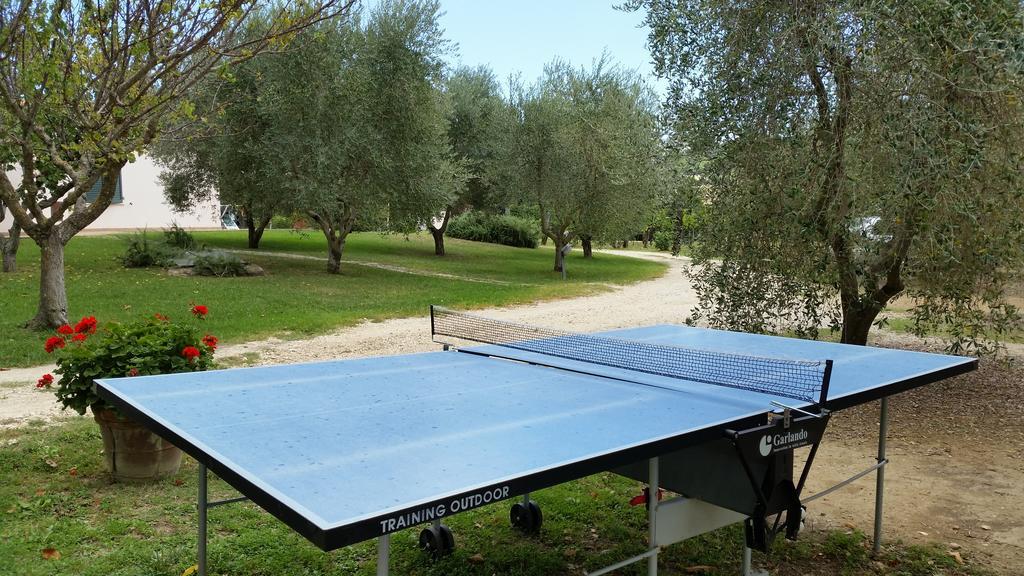 I Sicomori - Seme Di Carota - Glamping E Appartamenti Con Piscina A Saturnia Dış mekan fotoğraf