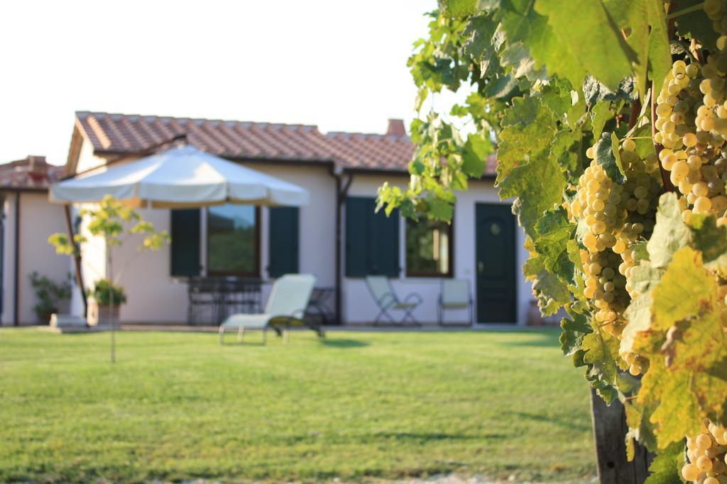 I Sicomori - Seme Di Carota - Glamping E Appartamenti Con Piscina A Saturnia Dış mekan fotoğraf